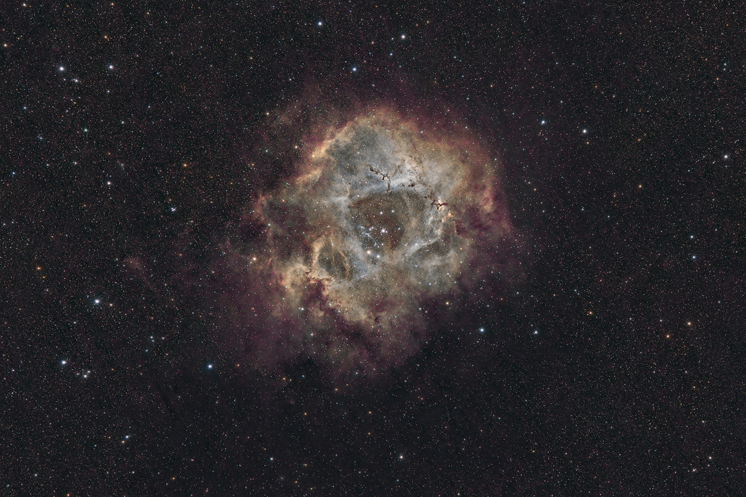 Rosette Nebula